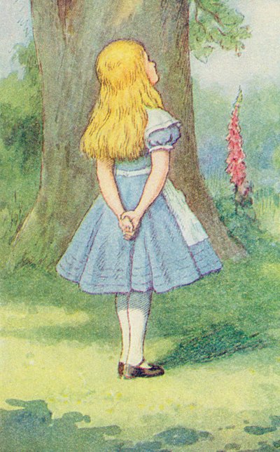 Alice and the Cheshire Cat, illustration from 